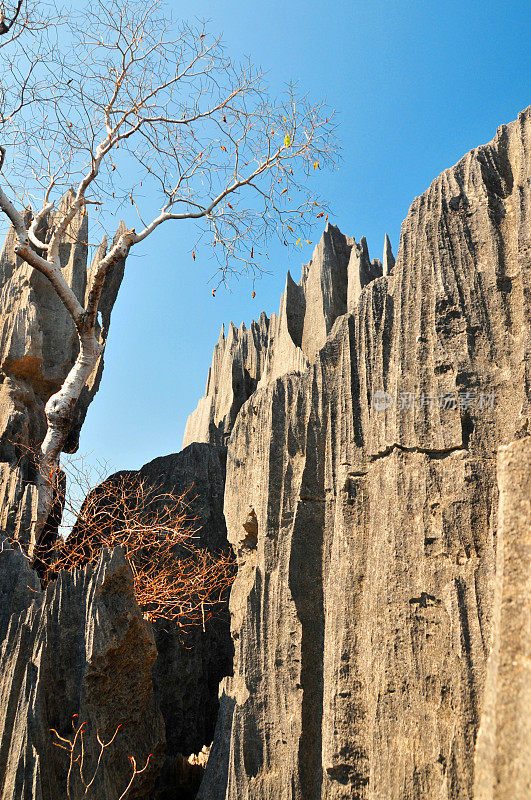 马达加斯加的Tsingy de Bemaraha